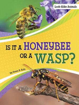 cover image of Is It a Honeybee or a Wasp?